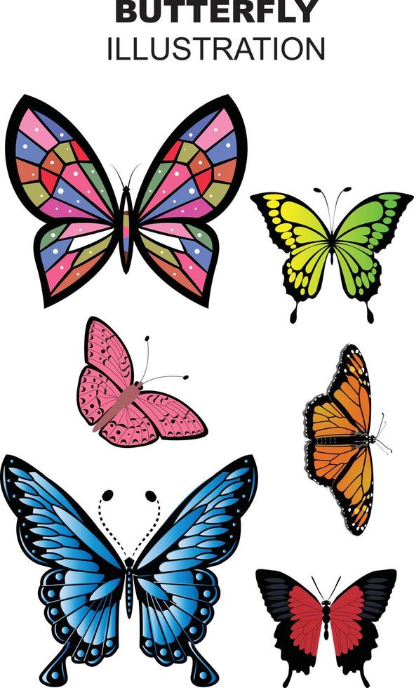 BUTTERFLY ILLLUSTRATION DESIGN vector