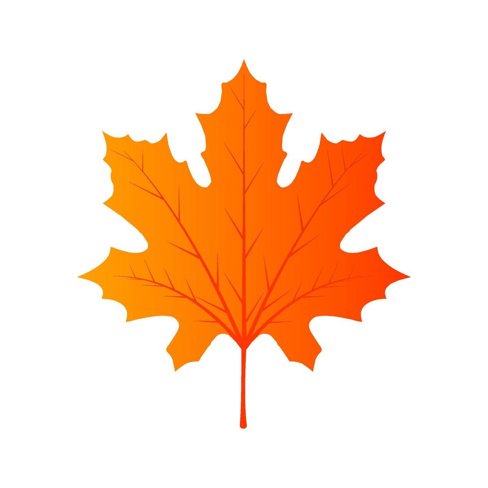 Follaje de la hoja de arce de Canadá. bandera aislada del elemento hermoso del vector colorido. 'decoración de otoño rojo flora de septiembre. primer plano de icono de fondo de jardín. ambiente dorado signo verano. temporada plana naranja