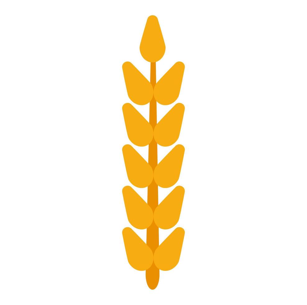 vector de trigo de oreja de grano de campo. cosecha granja pan centeno agricultura comida. planta de fondo aislado de cebada de cereal. icono de cultivo logotipo de ilustración de maíz dorado. tallo de cerveza de paja amarilla