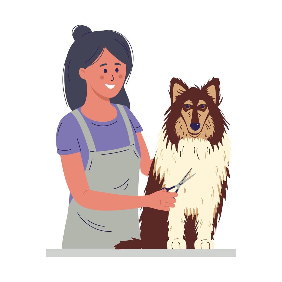 A young woman cuts a dog's fur. vector