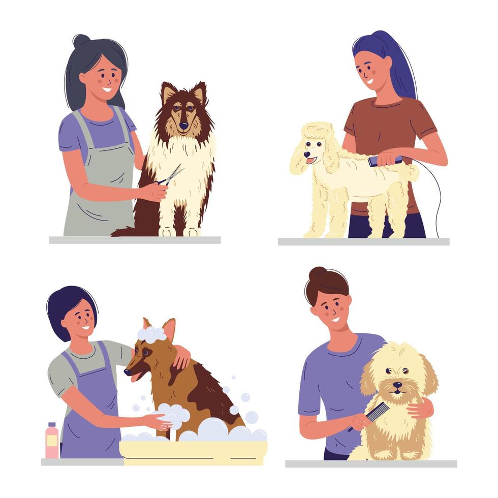 conjunto de perro de peluquería profesional vector