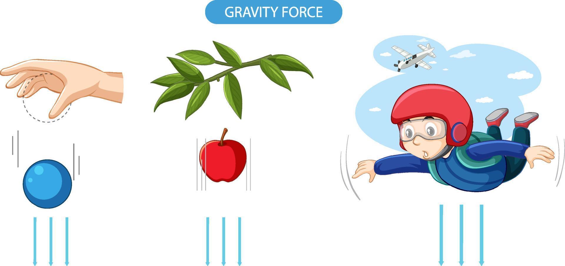 ejemplo de experimento de fuerza de gravedad vector