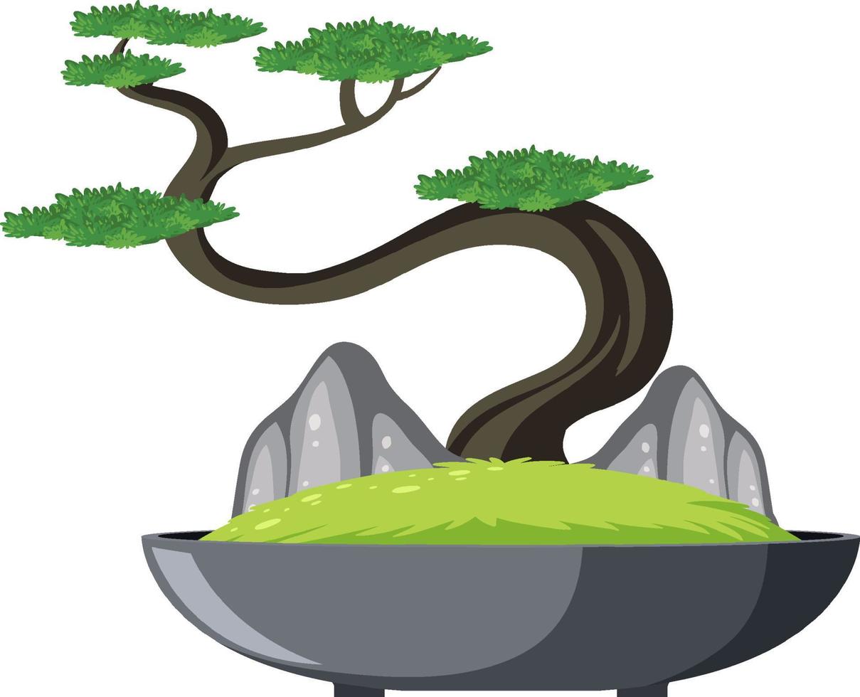 Bonsai tree in pot on white background vector
