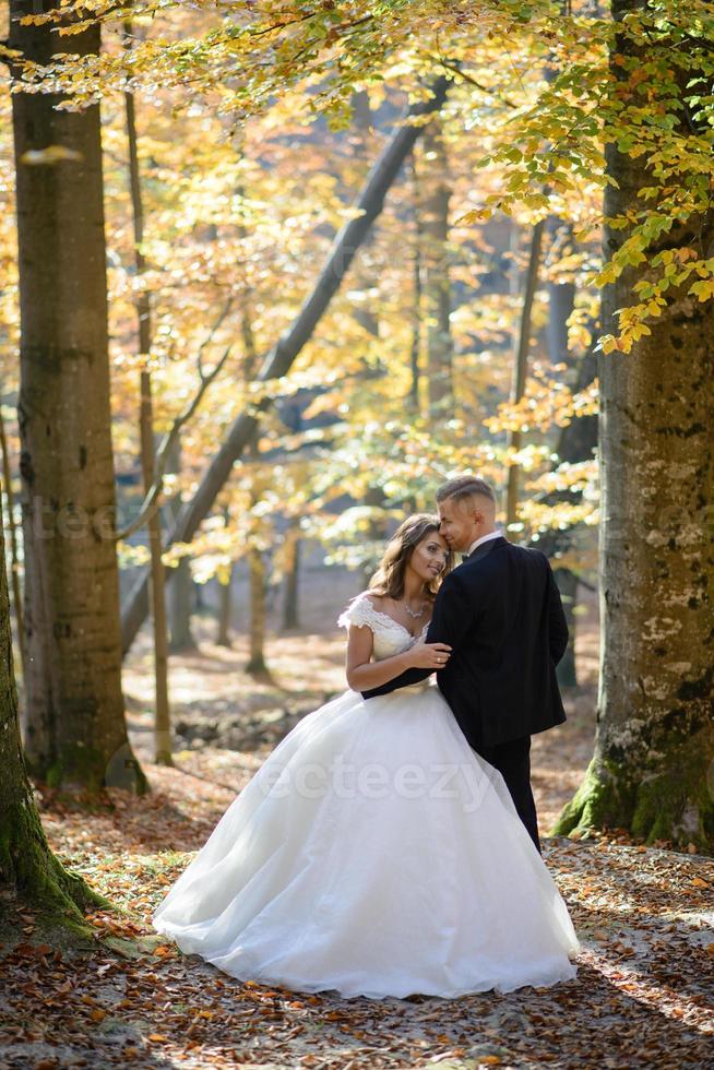 Bride and groom. A couple strolling among the narrow beautiful gorge. The gorge was overgrown with green moss. The newlyweds are spinning and running. photo