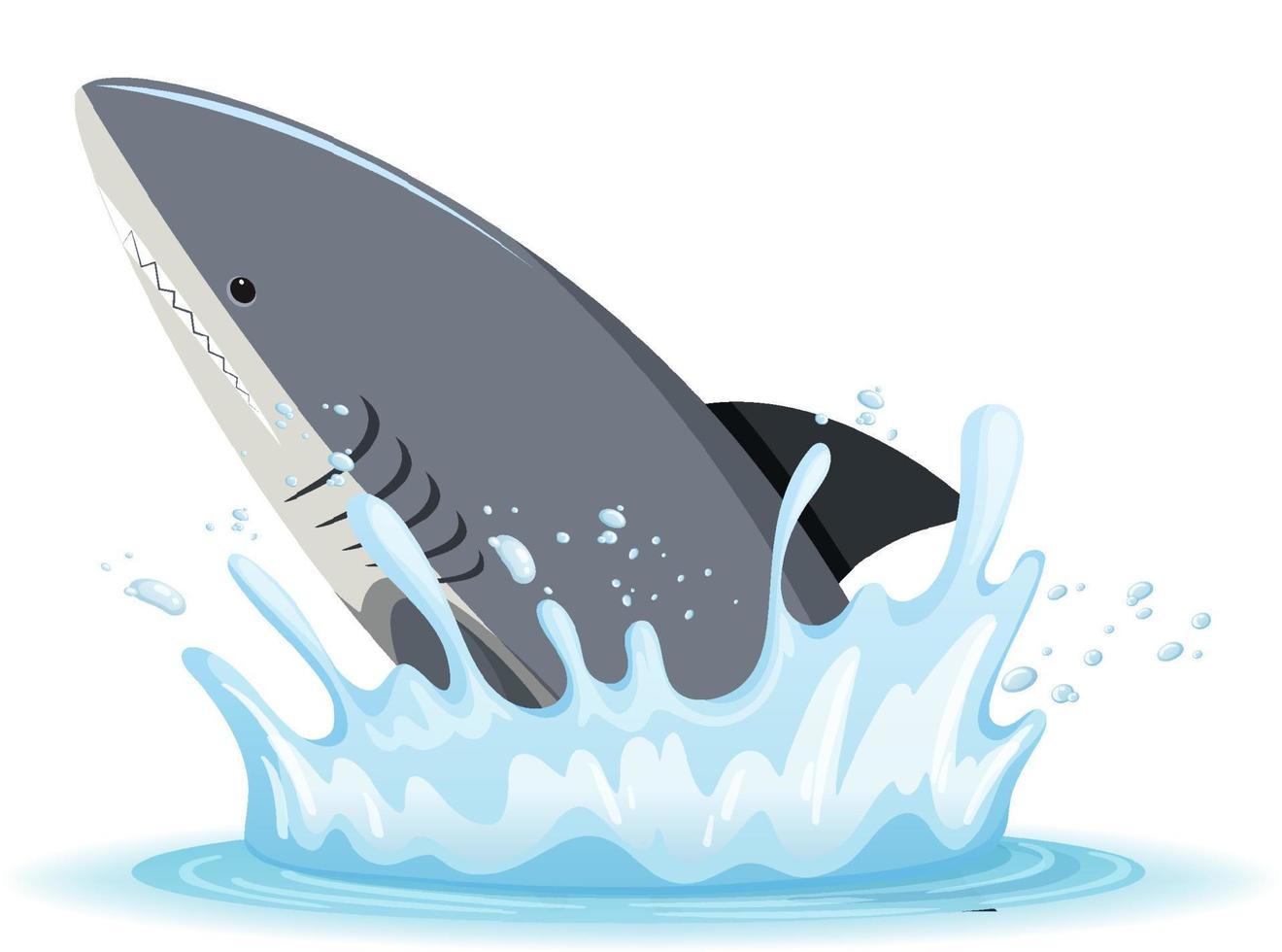 A water splash with shark on white background vector
