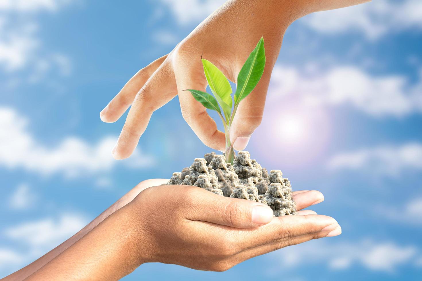 We love the world of ideas, man planted a banana in the hands of another. photo