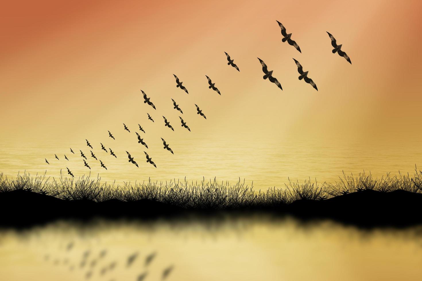 Grass and bird silhouettes background sunset. photo