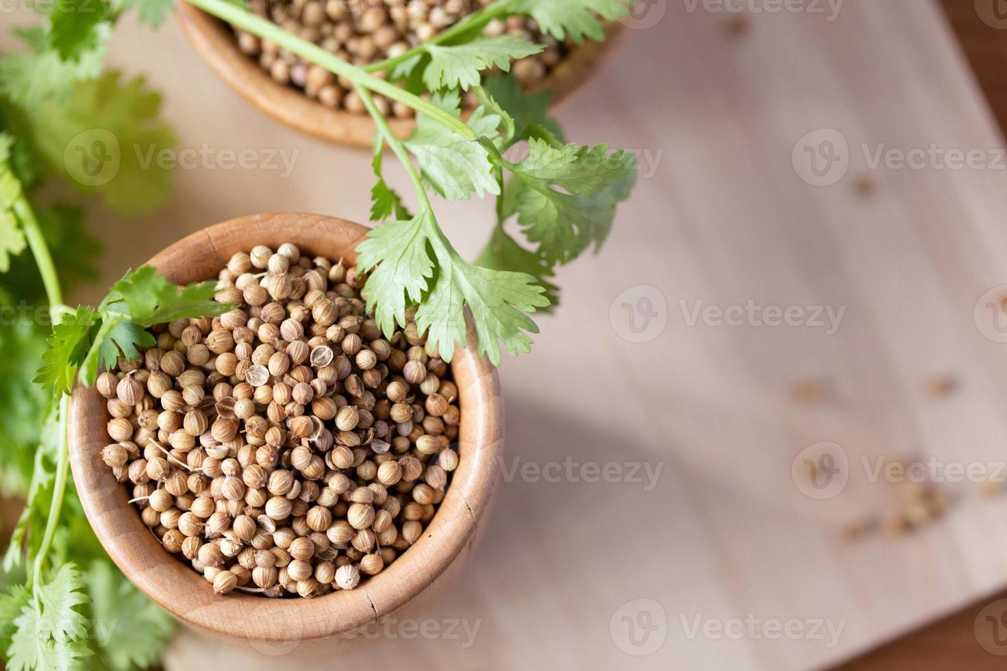 Coriander seeds in a wooden cup copy space photo