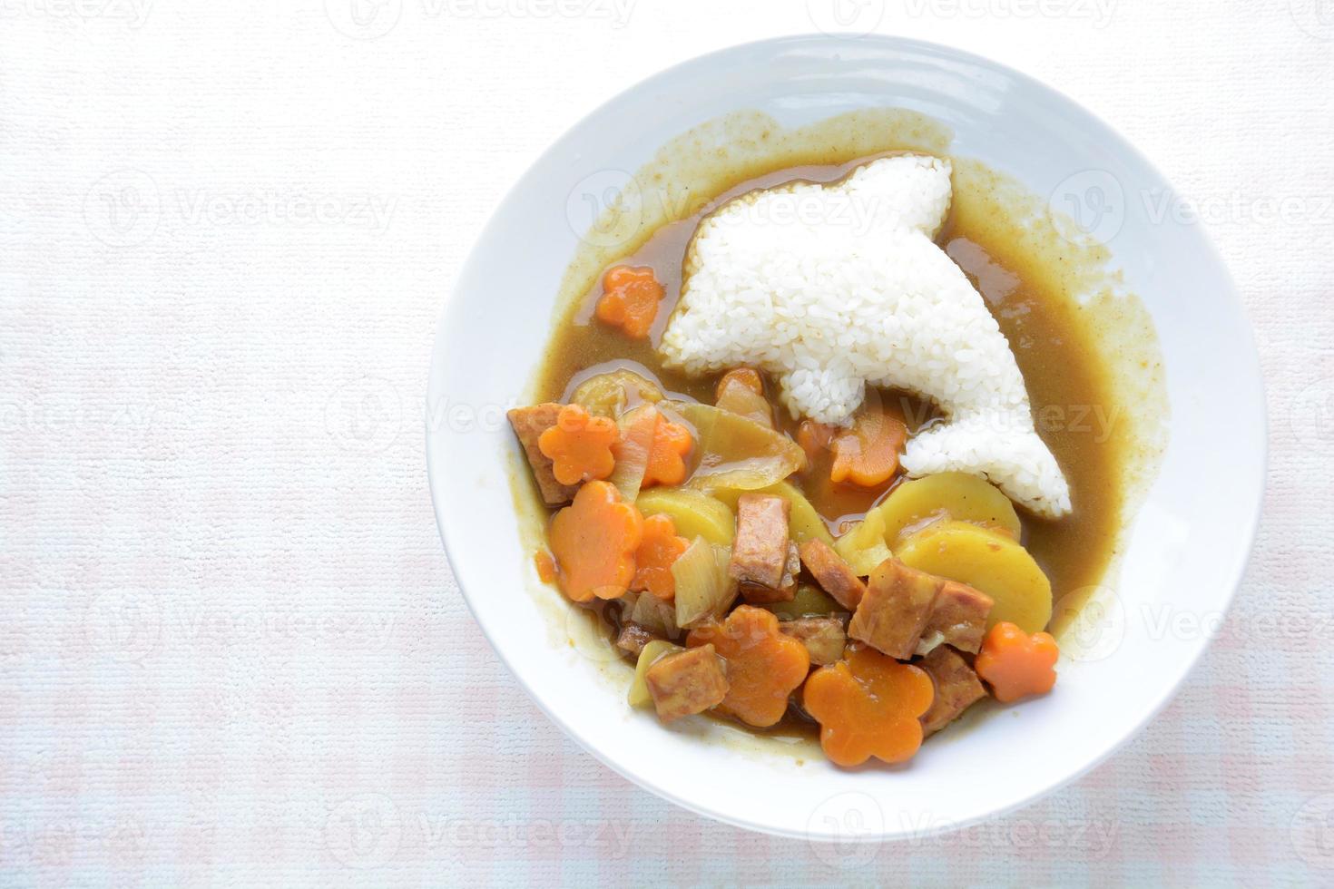 Japanese curry with dolphin rice shape and fried chicken. photo