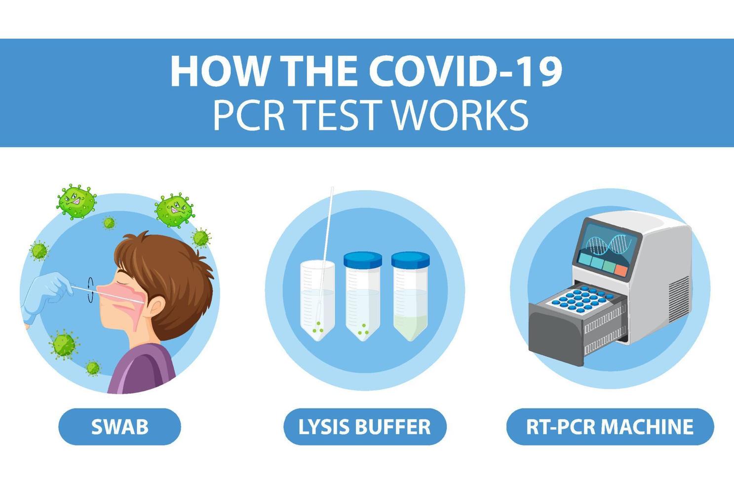 Covid 19 testing diagram with antigen test kit vector