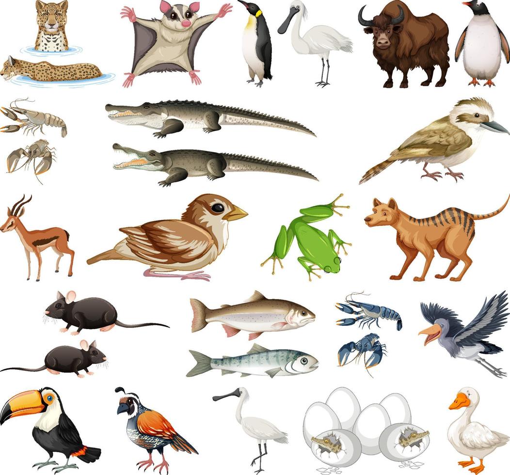 Different kinds of animals collection vector