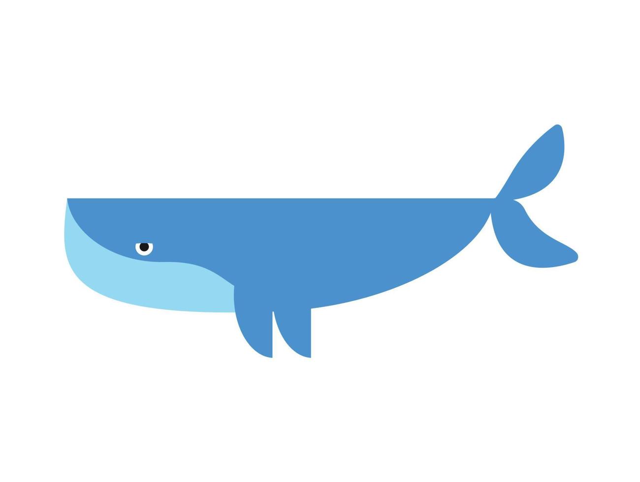 Blue cute whale isolated marine animal , Vector illustration