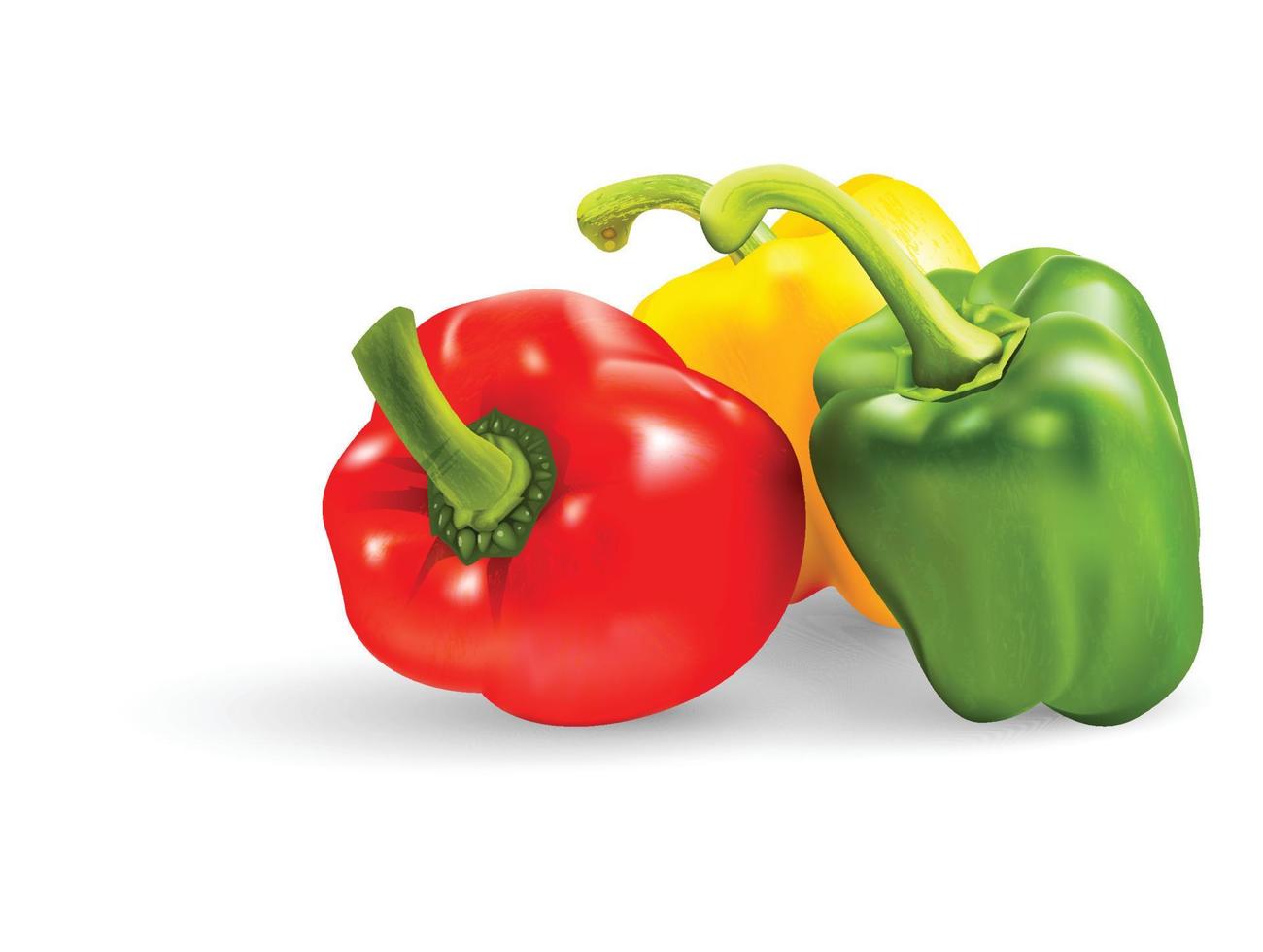 bell peppers vegetables isolated Vector illustrations