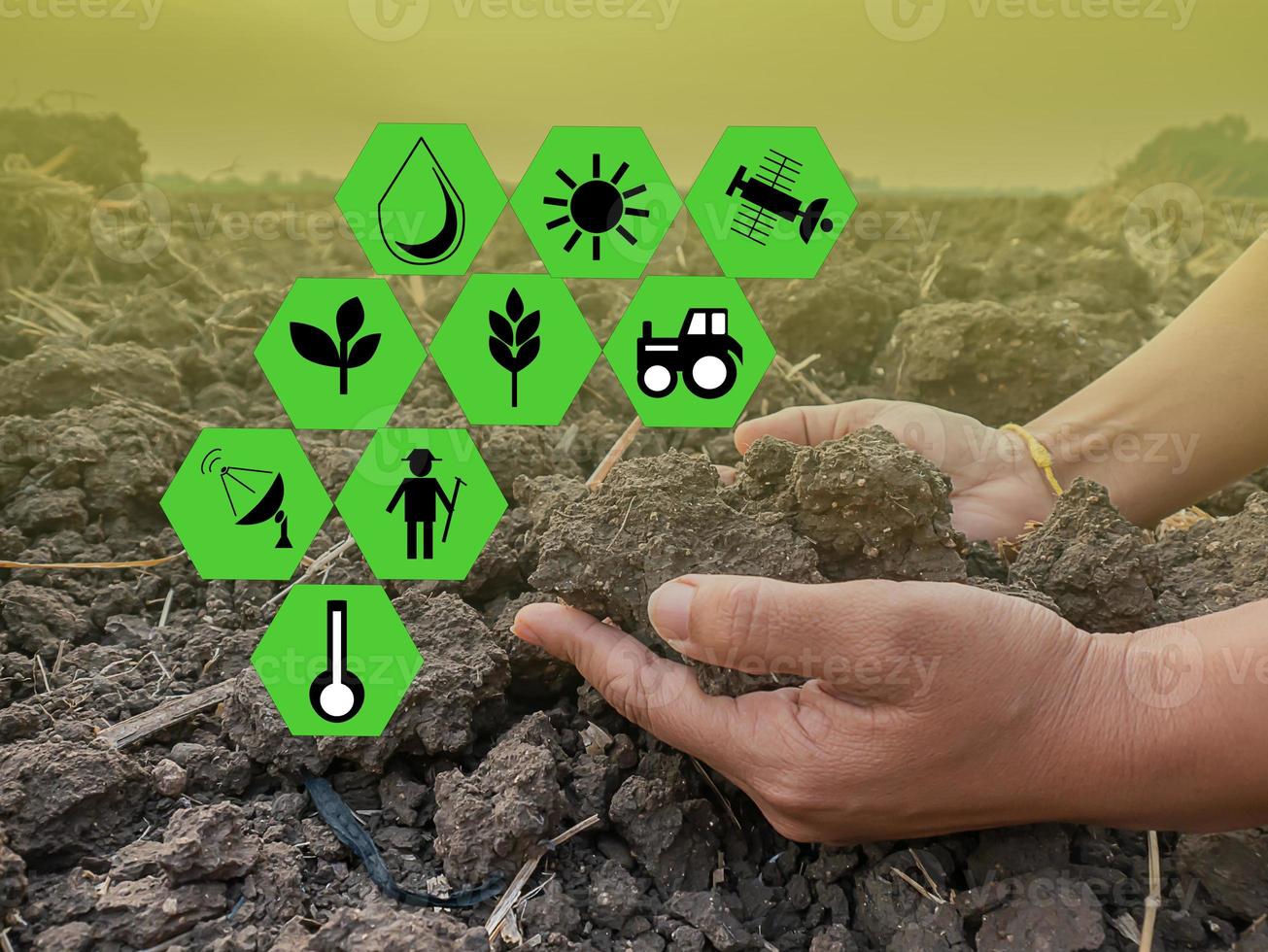 Sugarcane plantation modern agriculture concept, smart farm concept photo