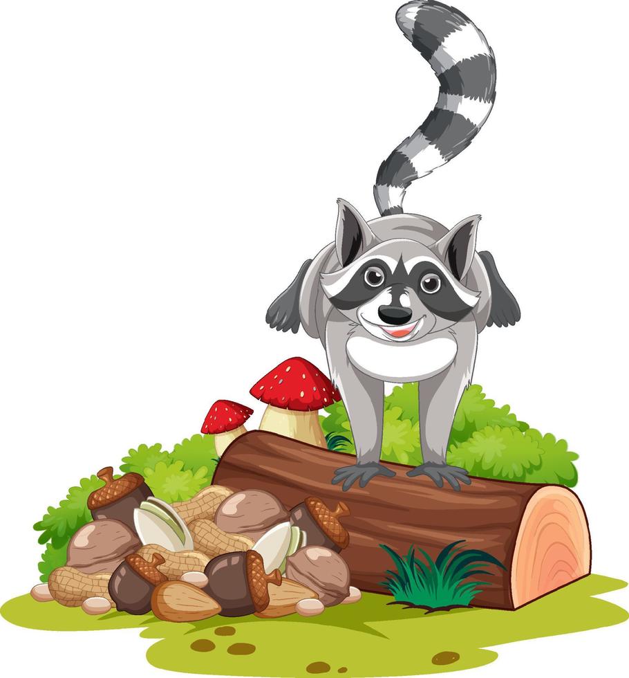 Raccoon standing on log vector