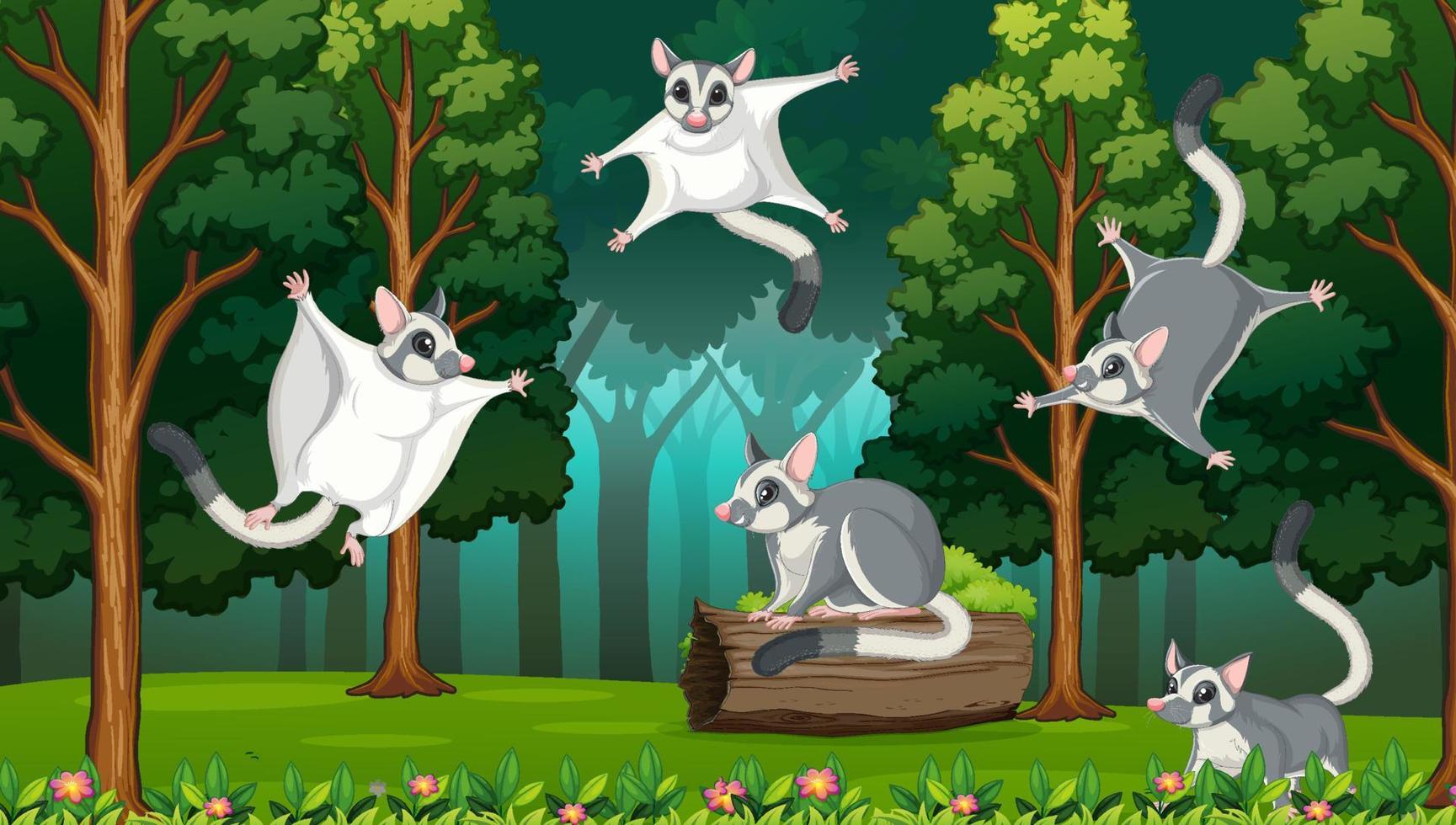 Scene with sugar glider in forest vector