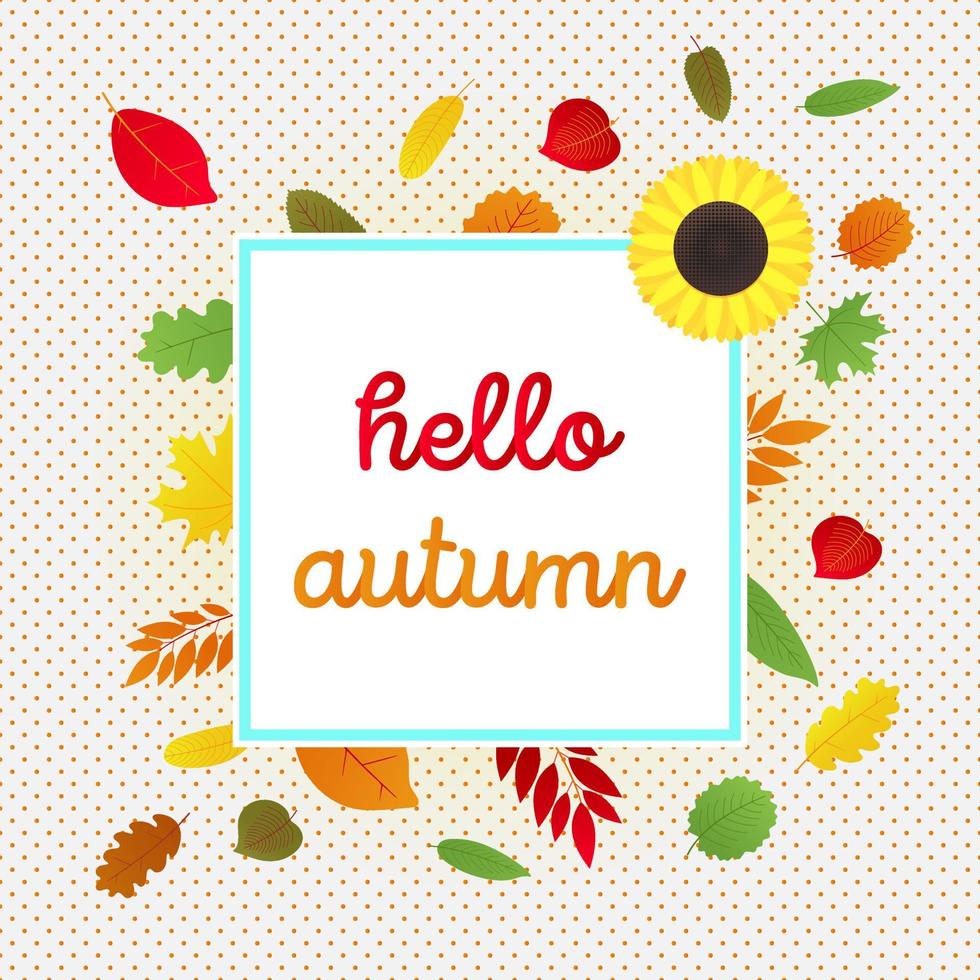 Hello autumn vector banner or poster gradient flat style design vector illustration. Huge frame with text, colored leaves, sunflower isolated on fun background.