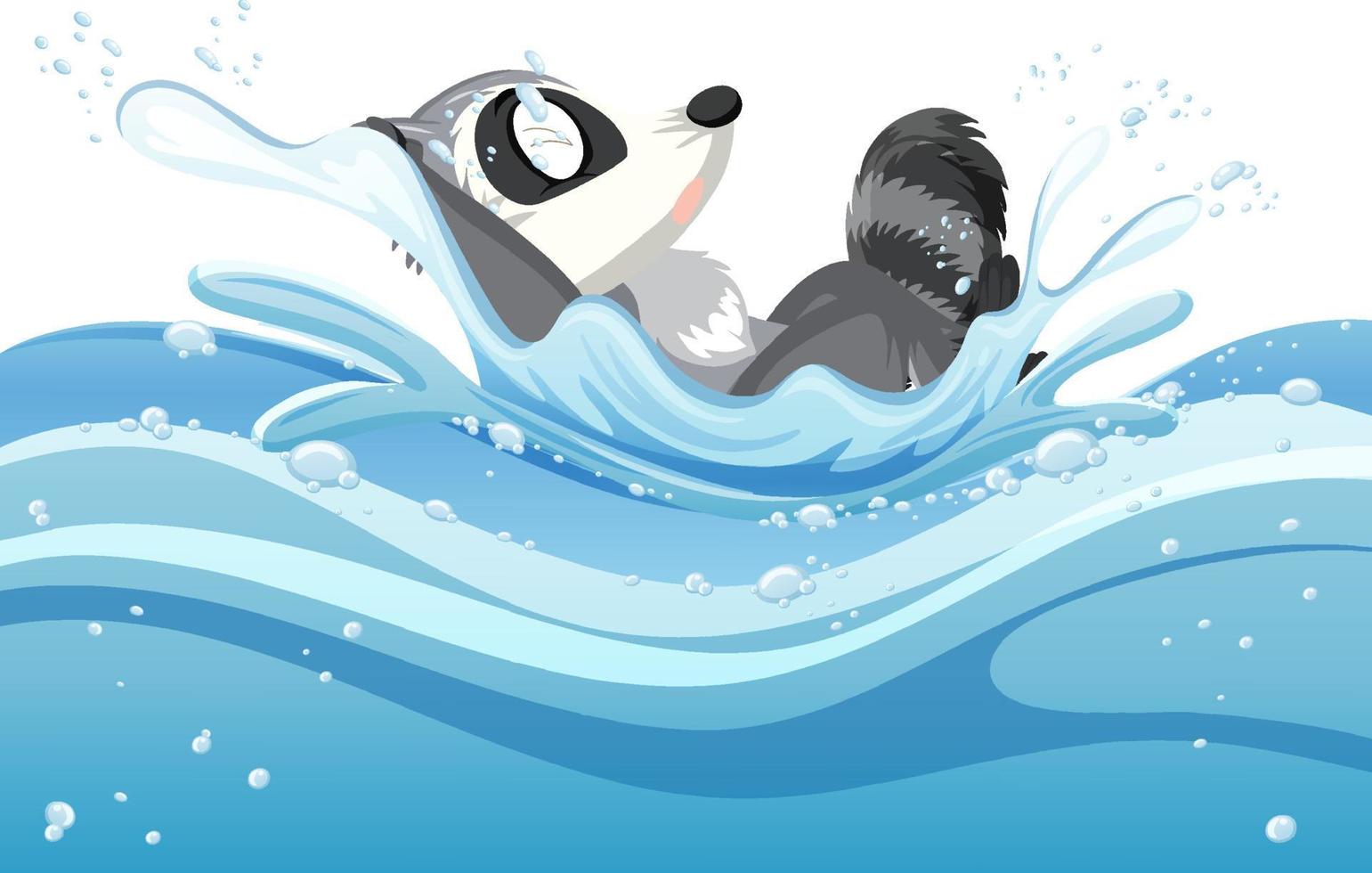 A water splash with raccoon on white background vector