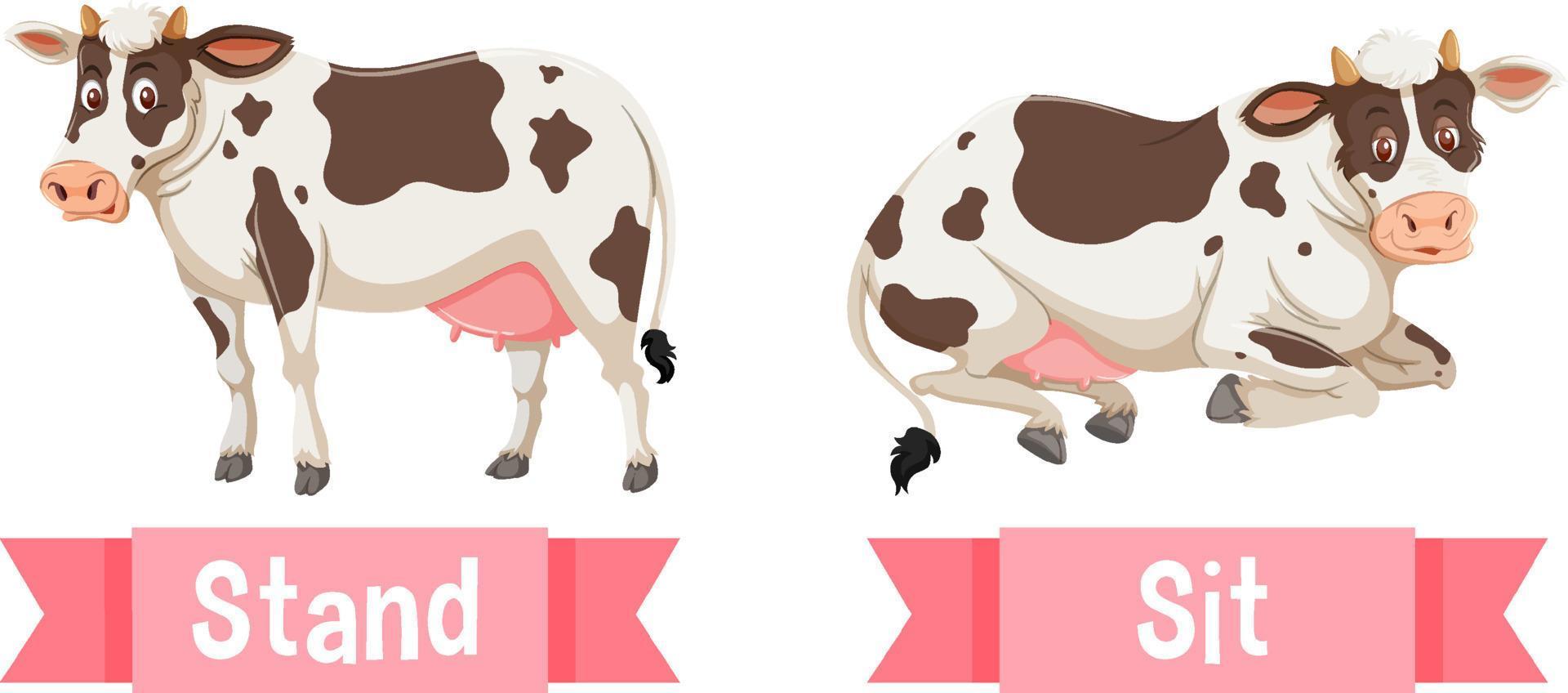 Opposite English Words stand and sit vector