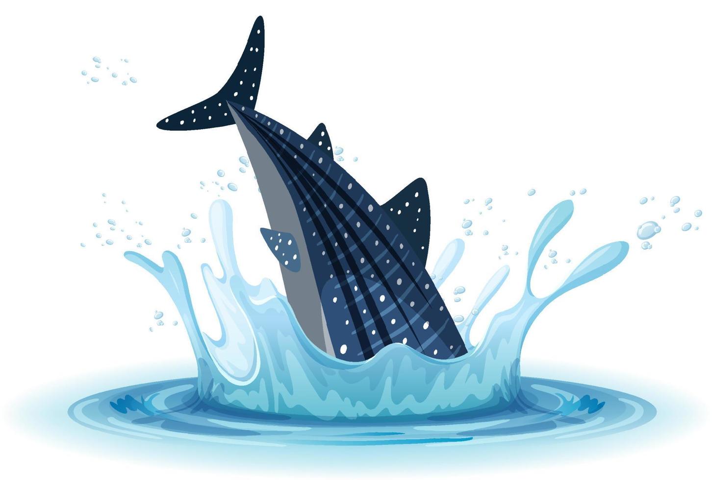 A water splash with whale on white background vector