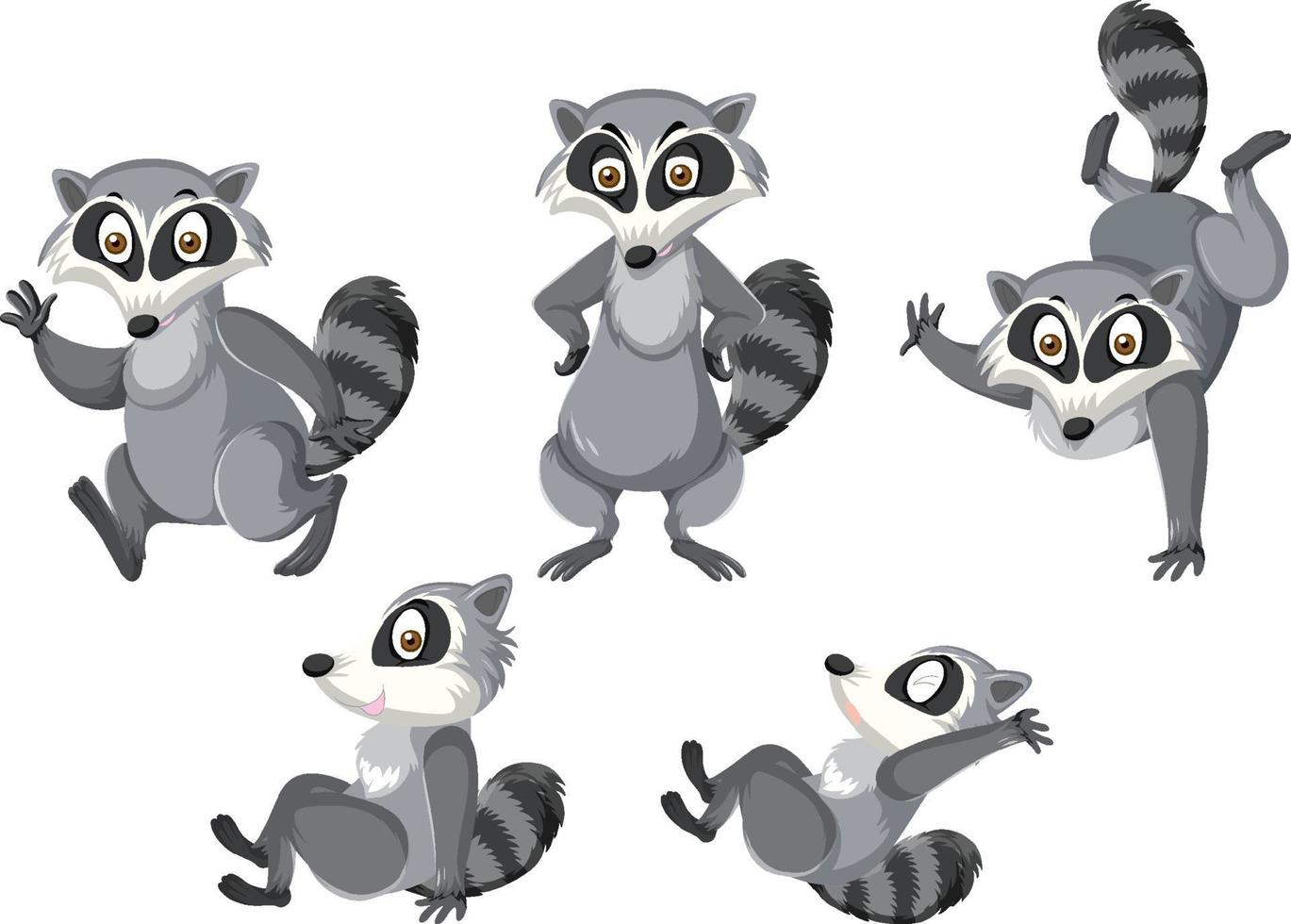 Raccoons in different posts vector