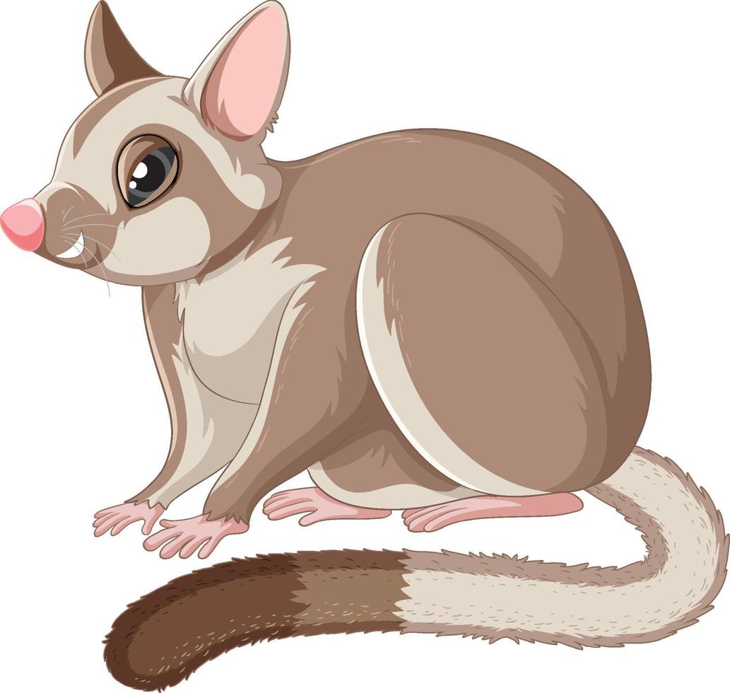 A cute cute sugar glider cartoon character vector