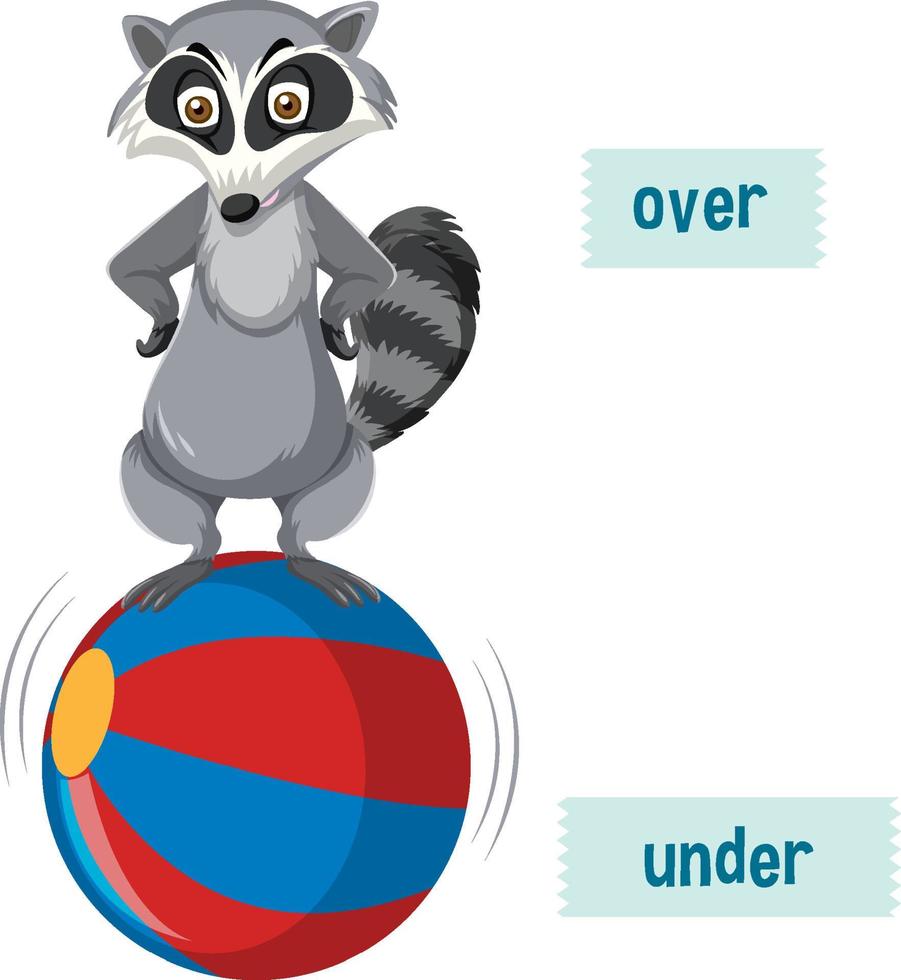 preposiciones en inglés con mapaches parados sobre la pelota vector