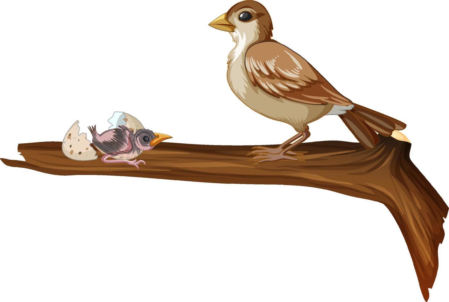 Brown sparrow and little chick vector