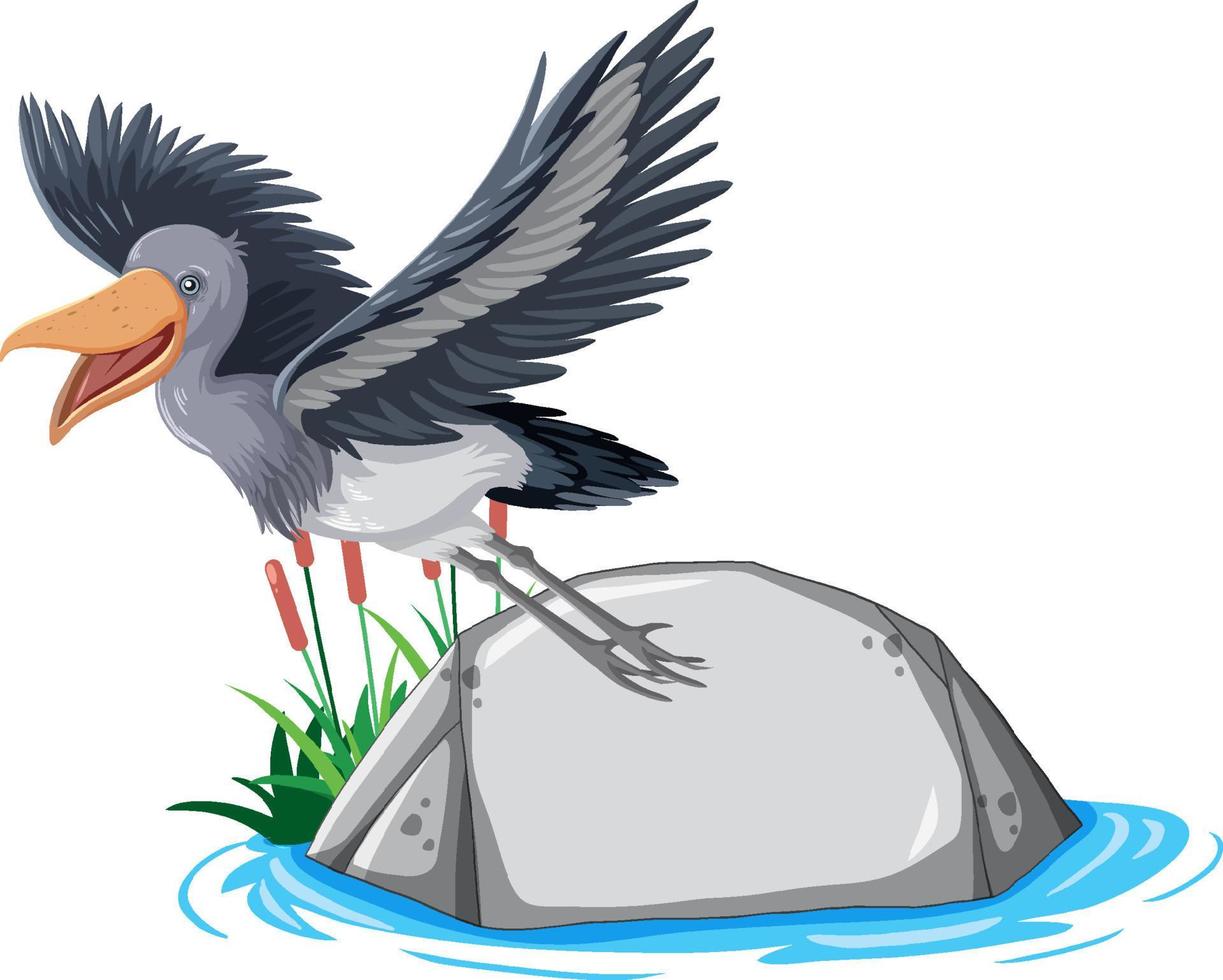 Heron bird standing on stone on white background vector