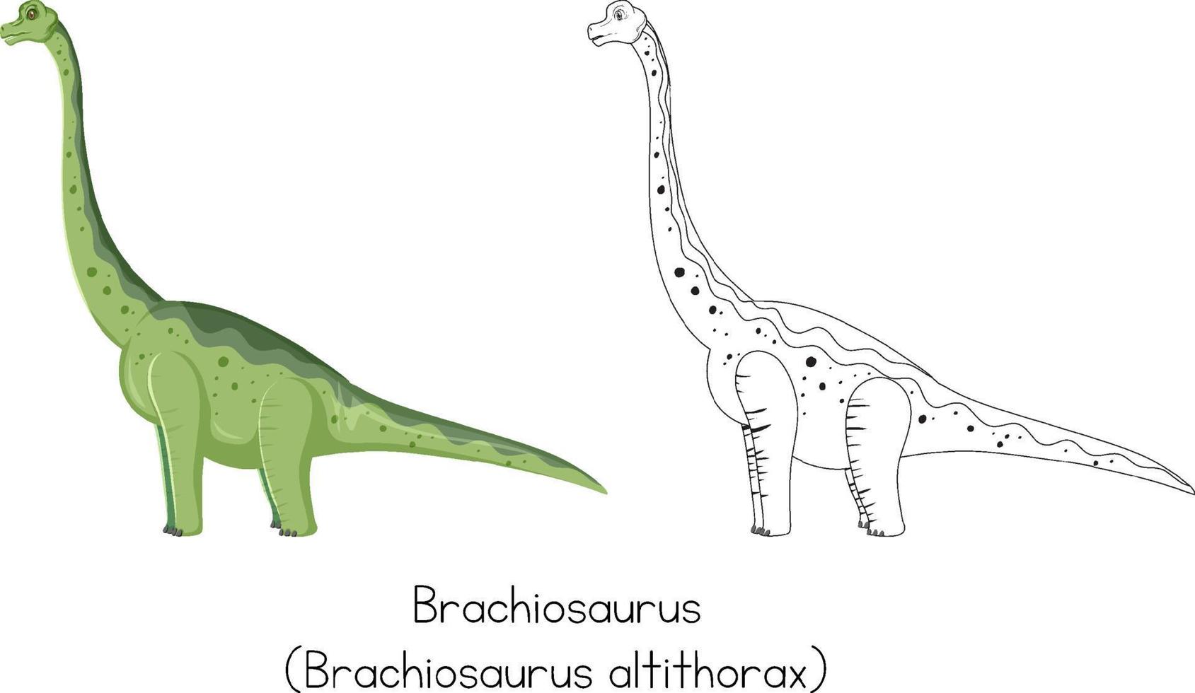 Dinosaur sketching of brachiosaurus vector
