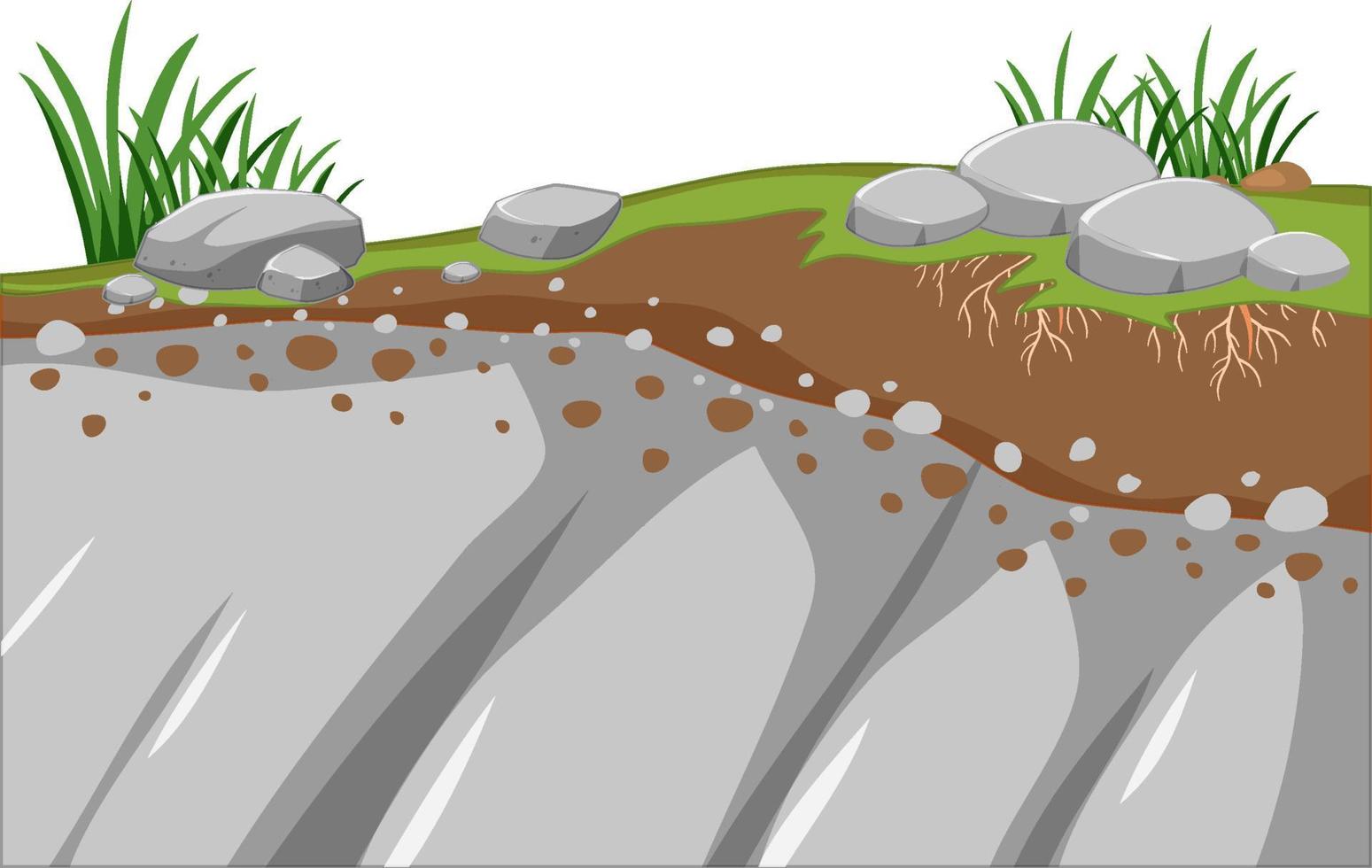 gráfico educativo sobre especies pioneras vector