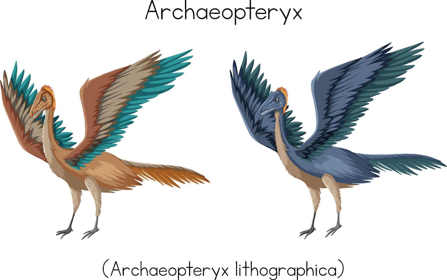 Two archaeopteryx with different colors vector