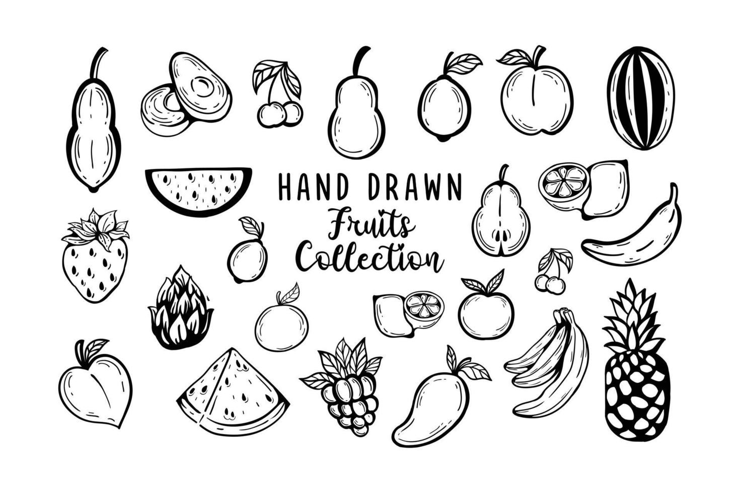 colección de frutas dibujadas a mano vector