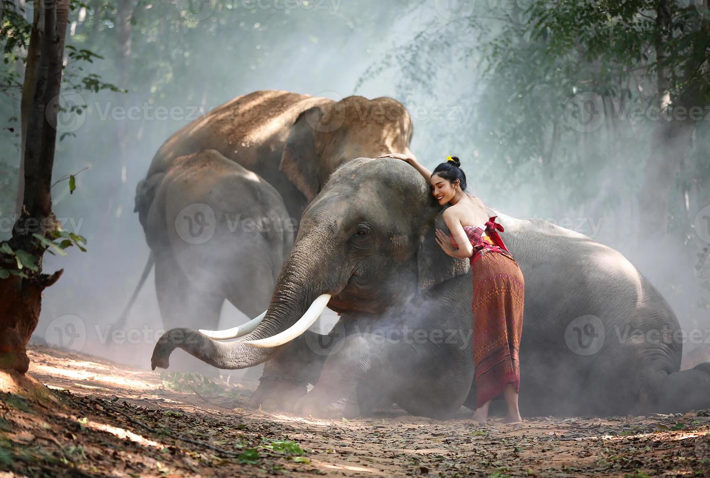 Elephant with beautiful girl in asian countryside, Thailand - Thai elephant and pretty woman with traditional dress in Surin region photo