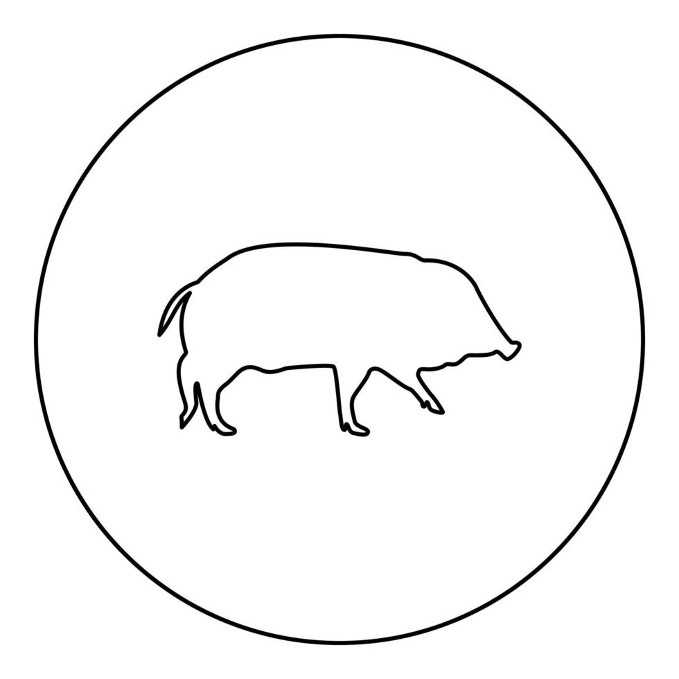 Wild boar Hog wart Swine Suidae Sus Tusker Scrofa silhouette in circle round black color vector illustration contour outline style image