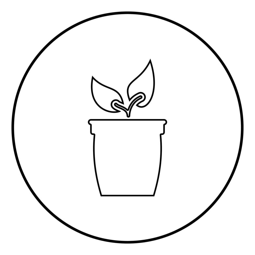 Flowerpot or pot with plant icon black color in circle round vector