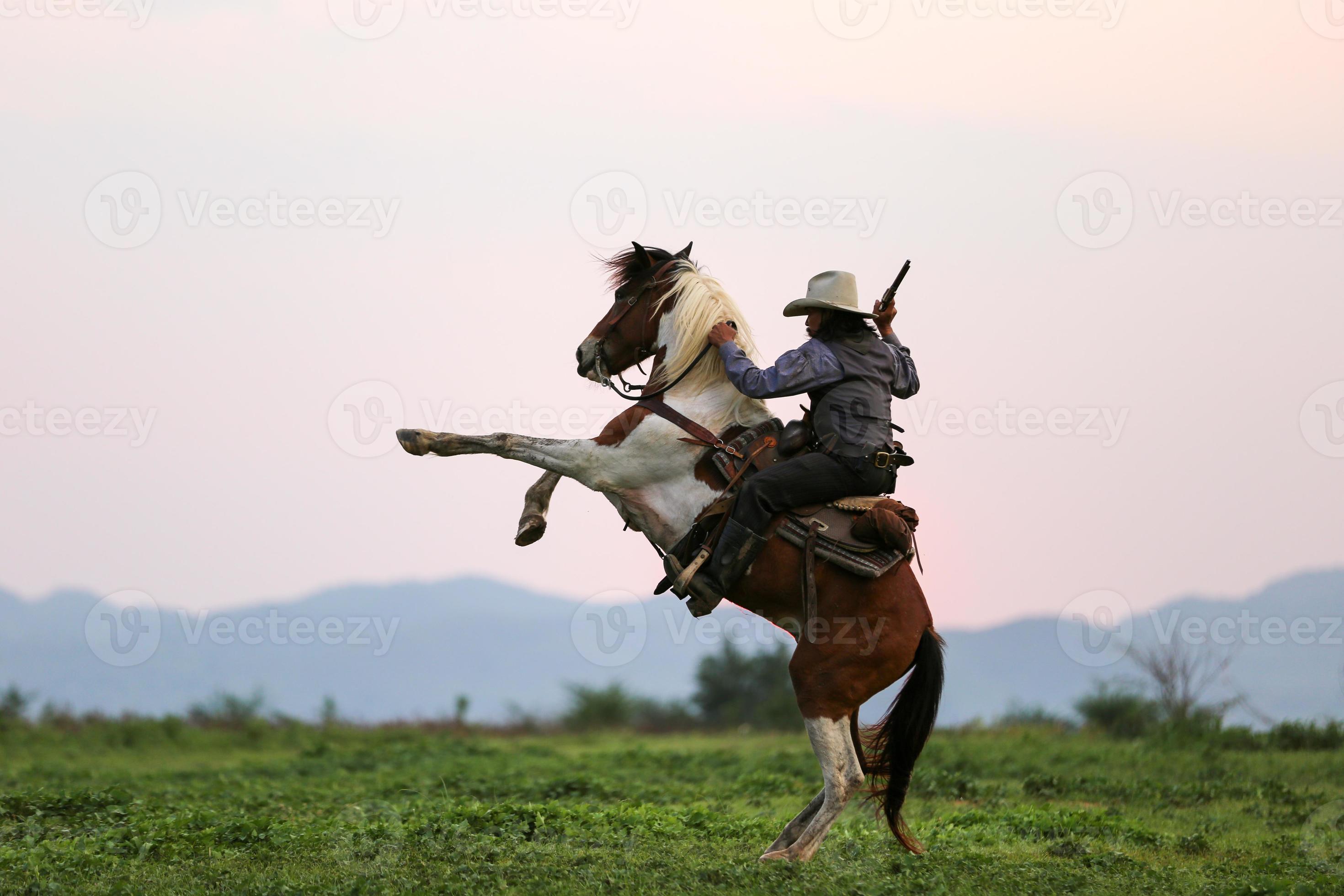 Caballo007 Gana Y Cobraterms Of Use - wus6qsm