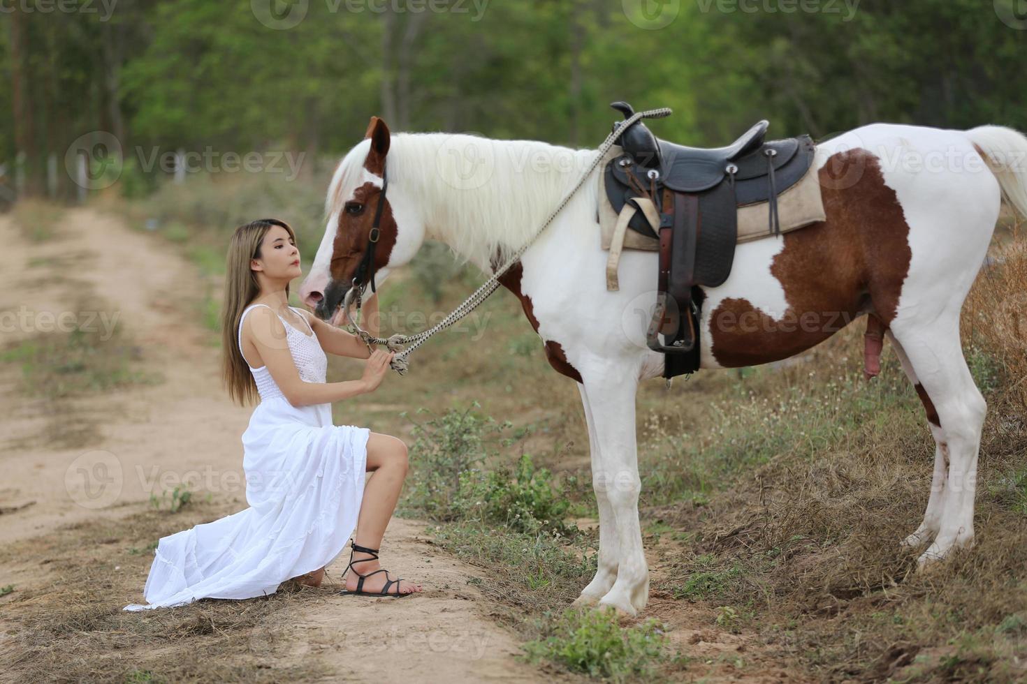 Young woman with her horse in evening sunset light. Outdoor photography with fashion model girl. Lifestyle mood photo