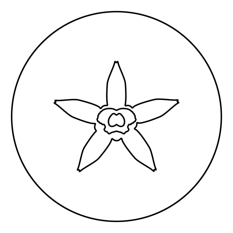 Vanilla flower icon in circle round outline black color vector illustration flat style image