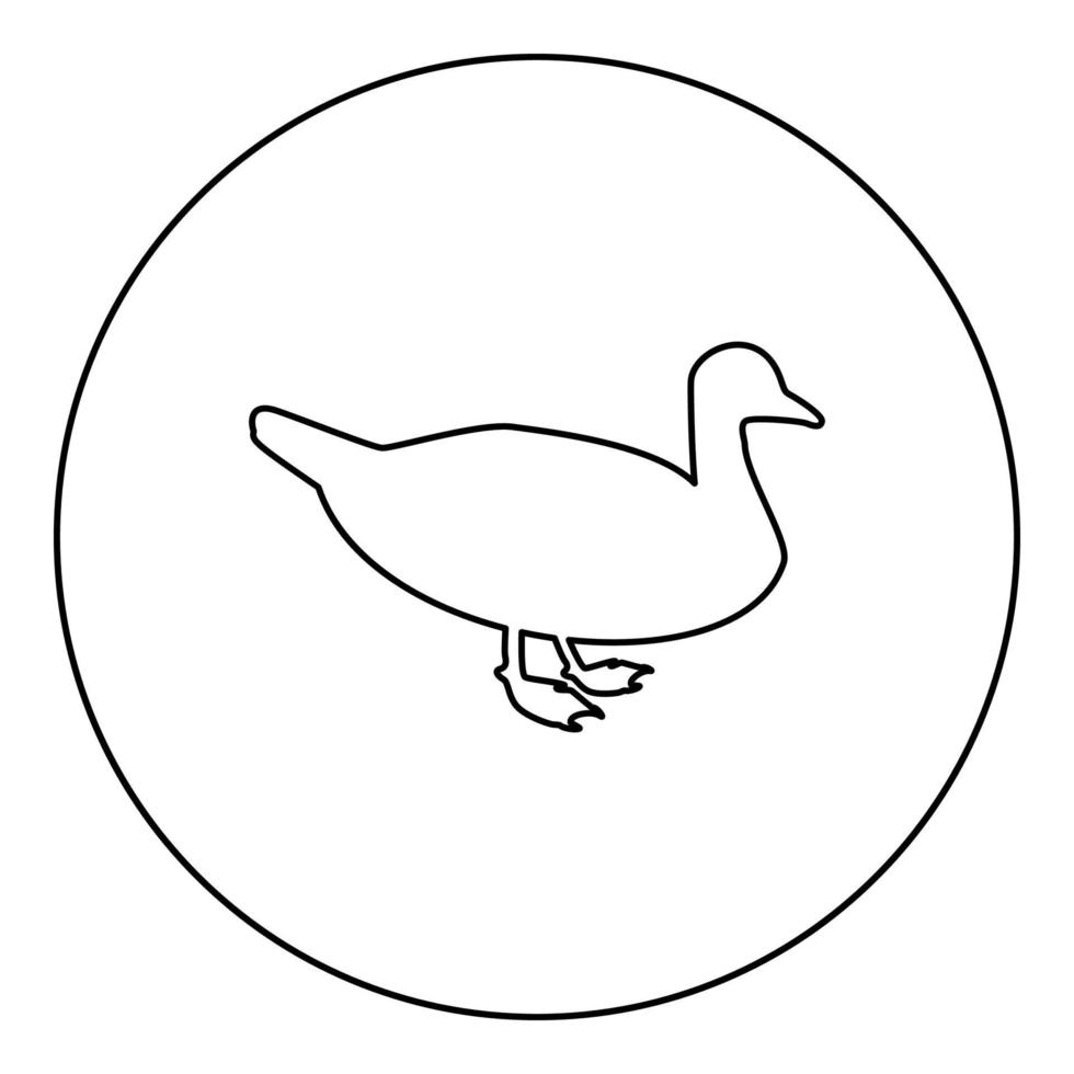 Duck Male mallard Bird Waterbird Waterfowl Poultry Fowl Canard silhouette in circle round black color vector illustration contour outline style image