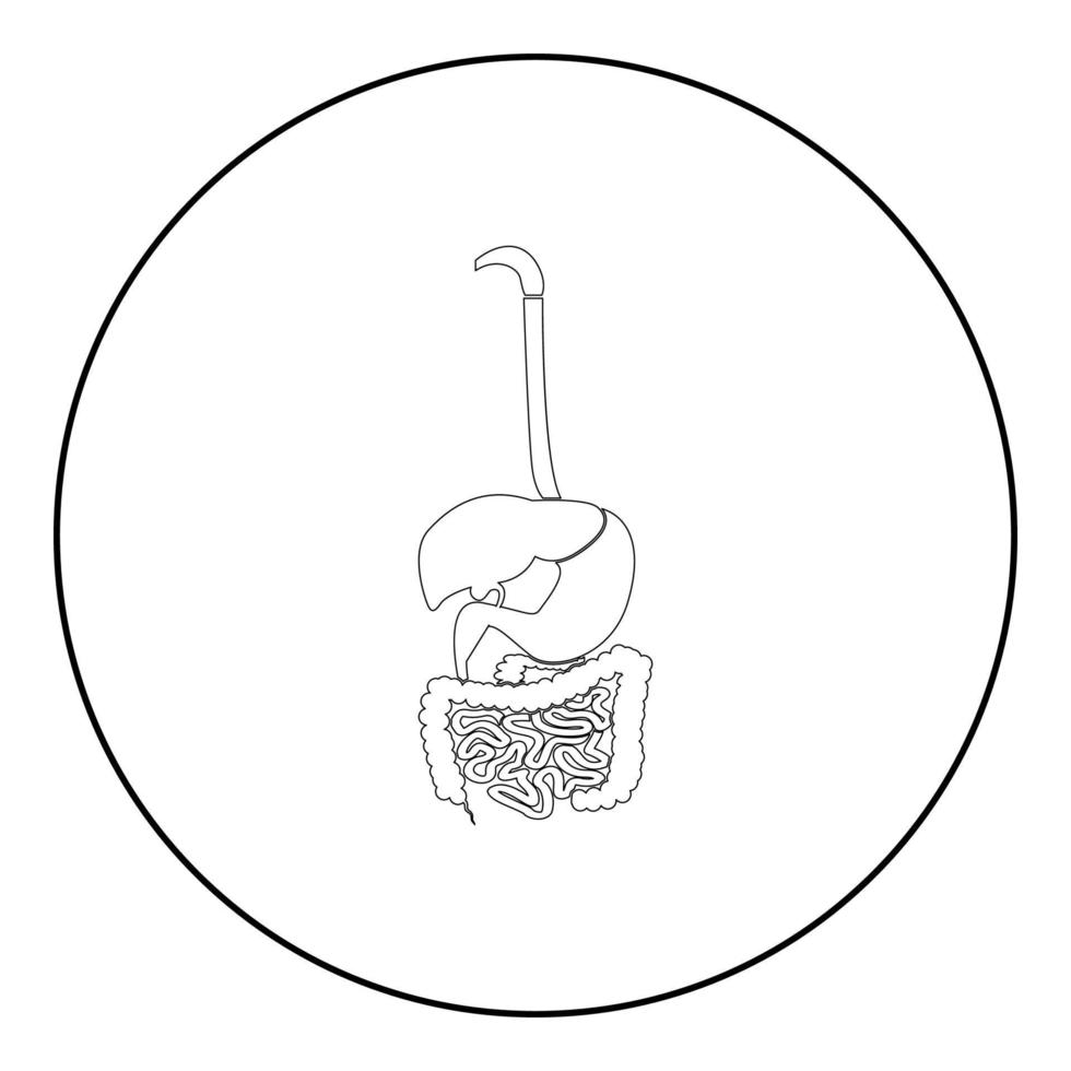 Digestive system icon black color in round circle vector