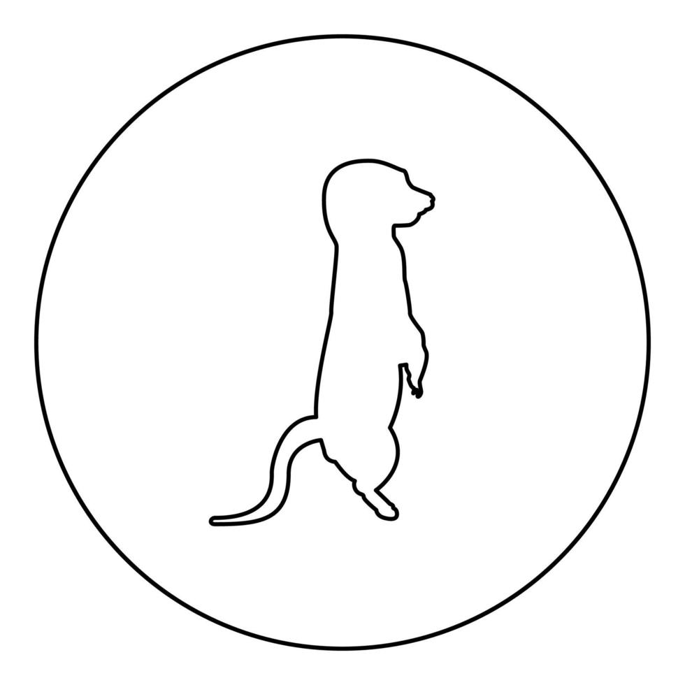 Meerkat in pose Suricata Suricatta silhouette in circle round black color vector illustration contour outline style image