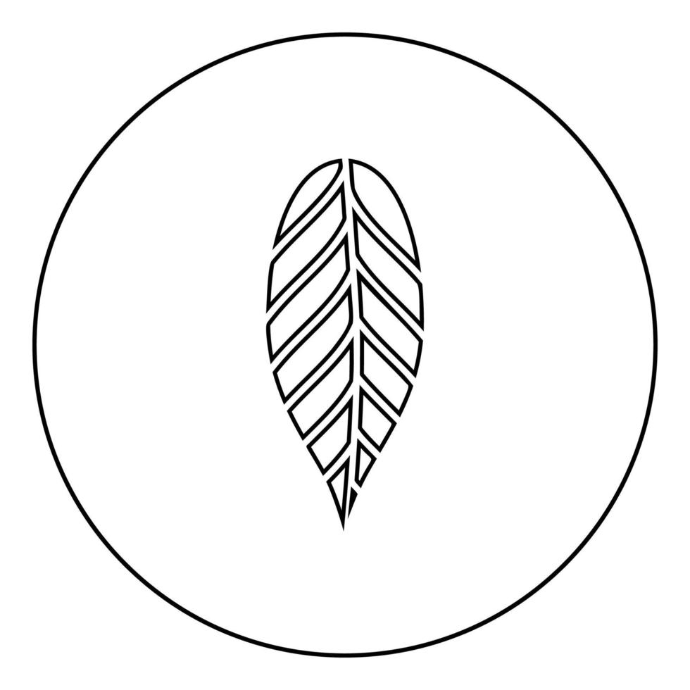 Leaf cacao bob icon in circle round outline black color vector illustration flat style image