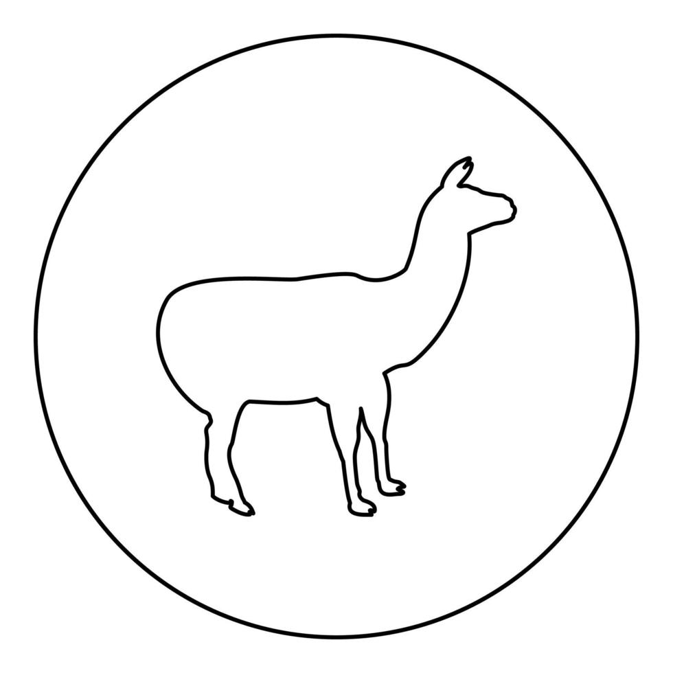 Alpaca Llama Lama Guanaco silhouette in circle round black color vector illustration contour outline style image