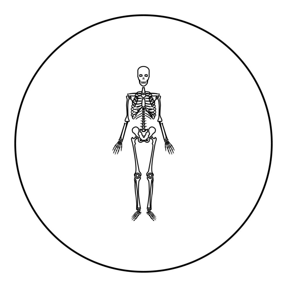 Human skeleton icon black color in round circle vector