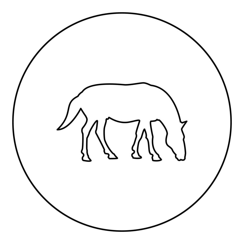 Steed Horse Equestrian Equine Stallion thoroughbred Mustang silhouette in circle round black color vector illustration contour outline style image