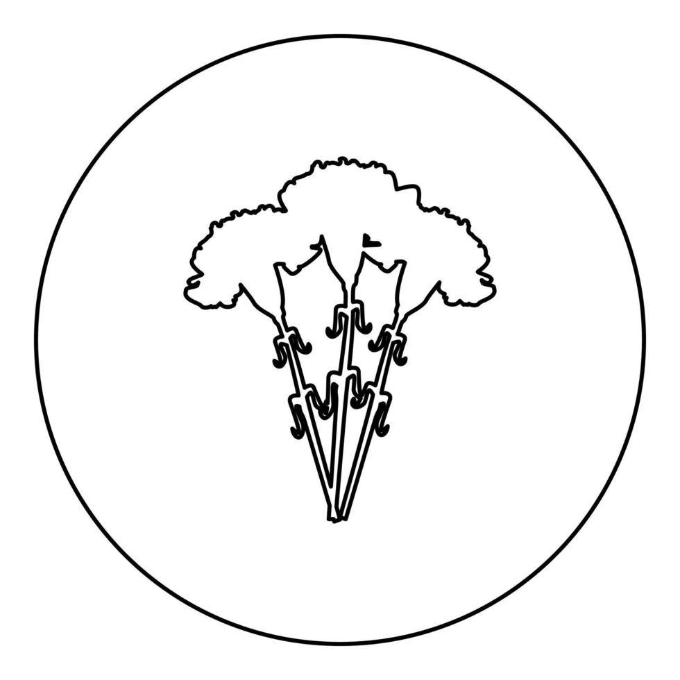 Bouquet of flowers Carnation icon in circle round black color vector illustration image outline contour line thin style