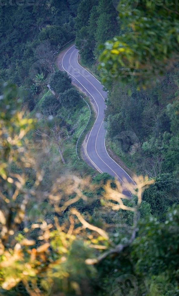 Road in the Forest photo