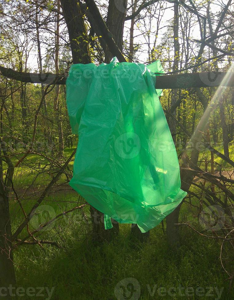 el impermeable se seca en la rama de un árbol después de una lluvia. foto