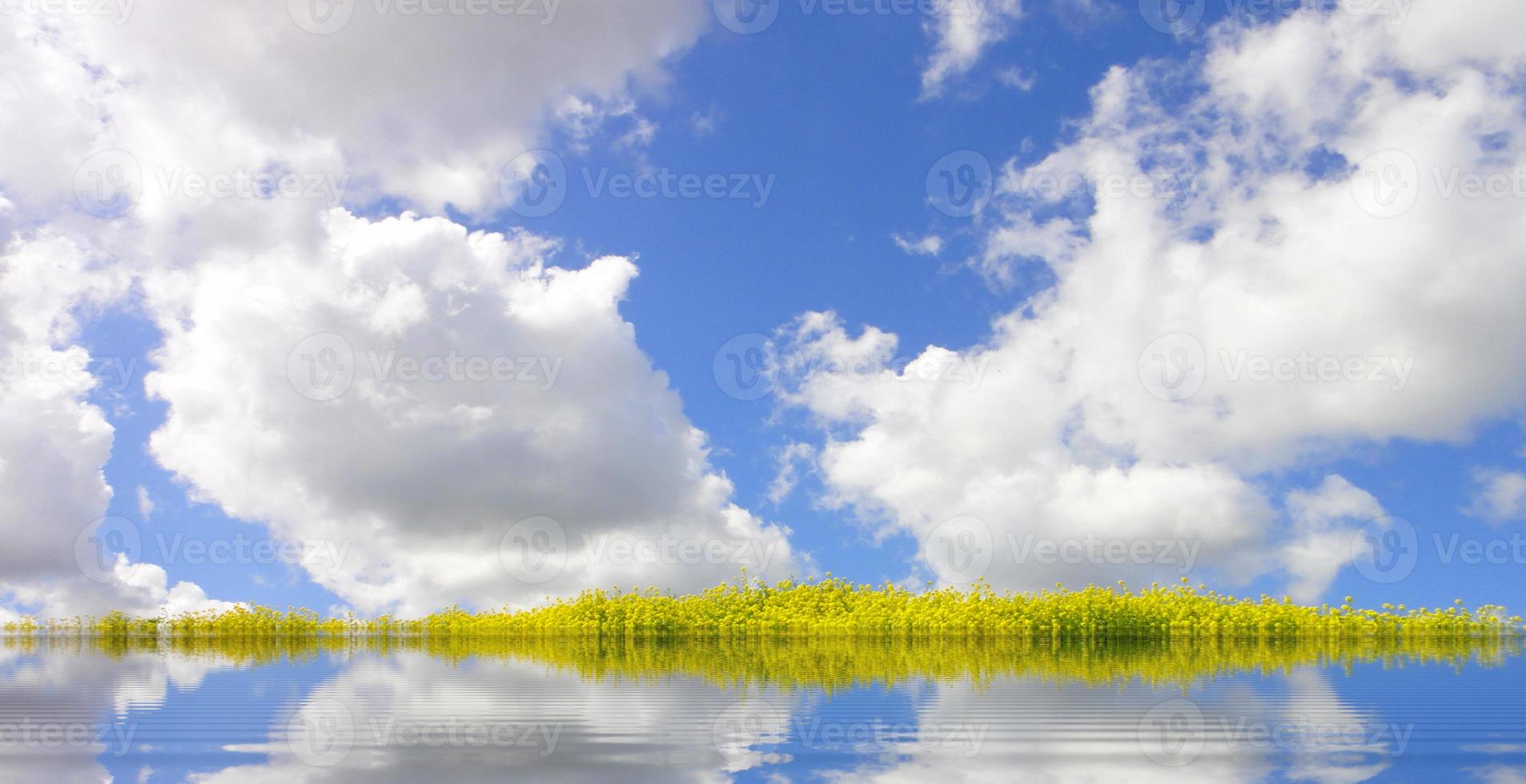A small line covered with grass. Cumulus clouds photo